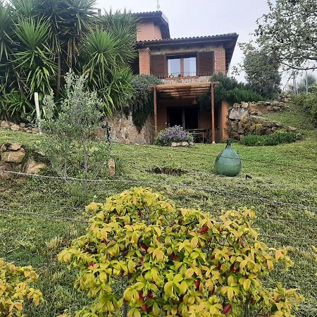 Maremma Che Vista! Apartment Campagnatico ภายนอก รูปภาพ