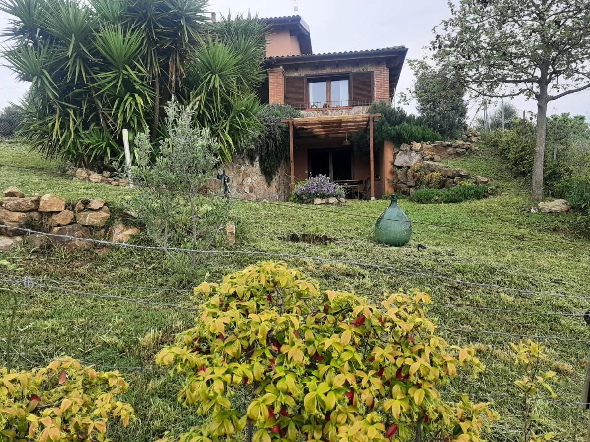 Maremma Che Vista! Apartment Campagnatico ภายนอก รูปภาพ