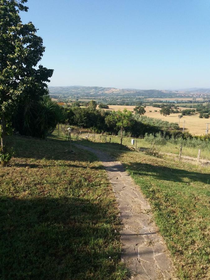 Maremma Che Vista! Apartment Campagnatico ภายนอก รูปภาพ