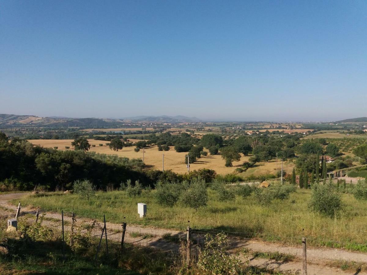 Maremma Che Vista! Apartment Campagnatico ภายนอก รูปภาพ