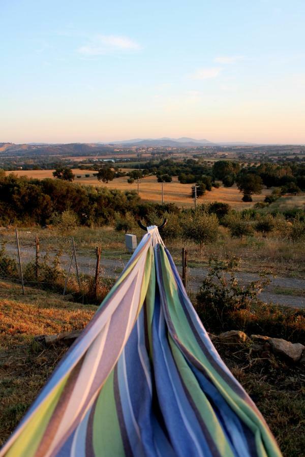 Maremma Che Vista! Apartment Campagnatico ภายนอก รูปภาพ