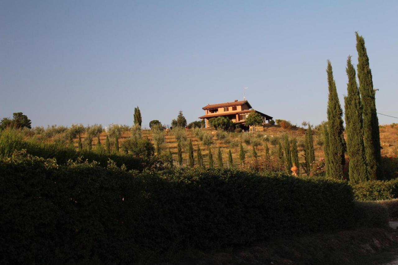 Maremma Che Vista! Apartment Campagnatico ภายนอก รูปภาพ